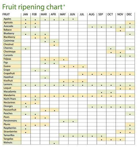How To Choose The Right Fruit Tree Varieties For A Year Round Harvest
