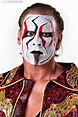 Sting: Profile & Match Listing - Internet Wrestling Database (IWD)