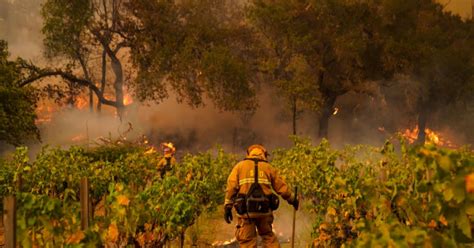 Napa Valley Winery Destroyed As Wildfire Spreads Through Wine Country