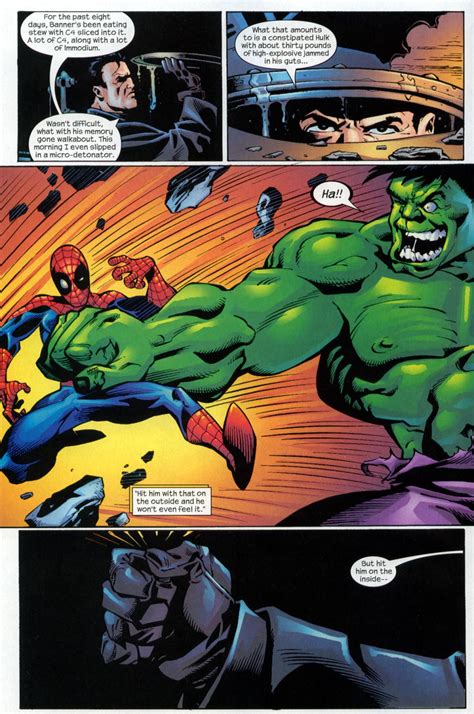 Punisher Vs Hulk World War Hulk Story Arc Battles Comic Vine