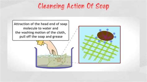 Detergents are better cleansing agents than soaps because they donot. 5.1 Cleansing action of soap - YouTube