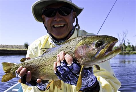 Check spelling or type a new query. Green River Fontenelle Wyoming Fishing Guides Dunoir Fishing