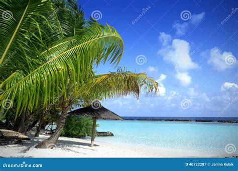 Mooi Strand Met Blauwe Overzees And Blauwe Hemel Stock Afbeelding Image
