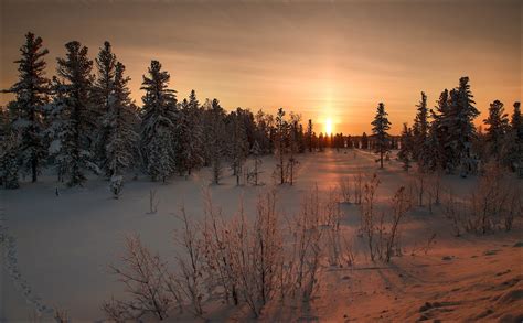 Winter Snow Sunset Wallpaper Hd Nature 4k Wallpapers Images And