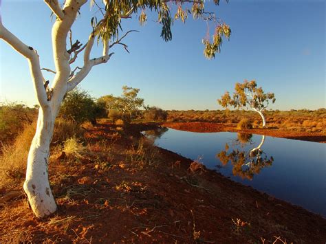 Outback Australia Peisaj Fotografie Gratuită Pe Pixabay Pixabay