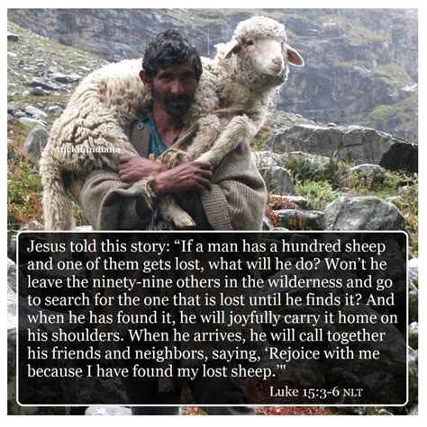 Jesus Told This Story “if A Man Has A Hundred Sheep And One Of Them
