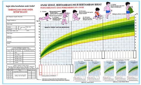 Kms Card Towards Health Qual Sua Fun O E Como L Lo