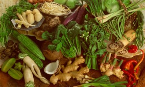 Sin embargo, en este artículo de nuestro blog nos centraremos solo en estas últimas. 5 vegetales ricos en proteína que debes comer | Salud180