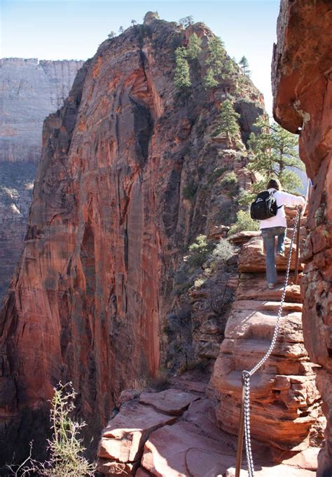 5 Most Epic Hikes In Zion National Park Zion Ponderosa
