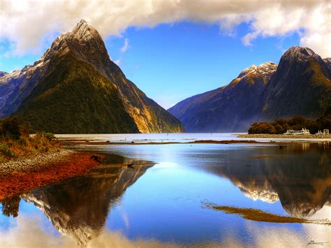 7 Best Things To Do In Milford Sound New Zealand Updated Trip101