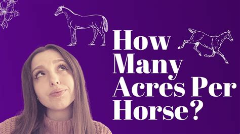 How many rvs per acre. How Many Acres Per Horse? - YouTube