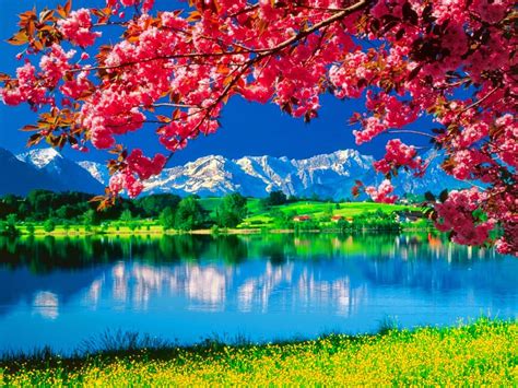 Amazing Nature Wallpapers Beautiful Nature Hd Live