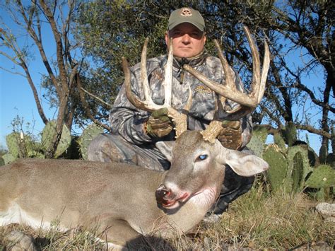 Examples Of Buck Sizes 5 Star Outfitters Texas