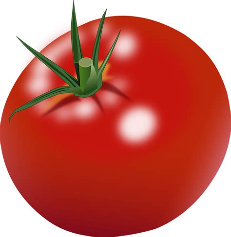 Fresh Tomato Png Background Image Png Arts