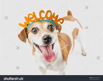 Image result for Welcome' Dog