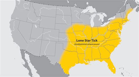 Unusual Tick Borne Virus Lurks In Missouris Woods Shots Health