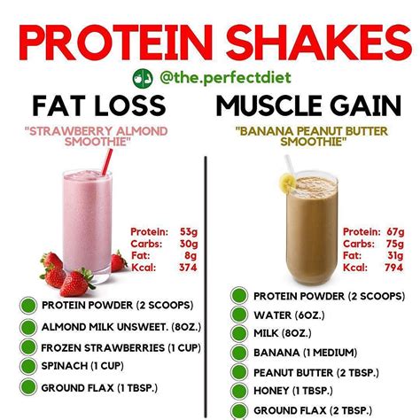 Do Protein Shakes Make You Gain Weight With Working Out Camila Seaman