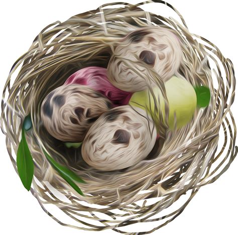 Nest Png