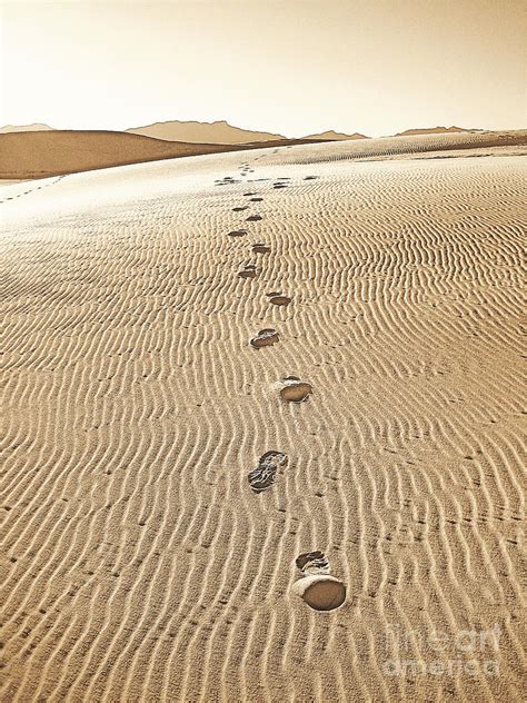 Footprint Path Photograph