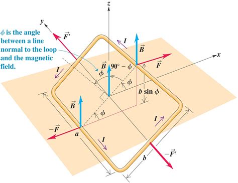 Uy Force Torque On Current Loop In Magnetic Field Mini Physics