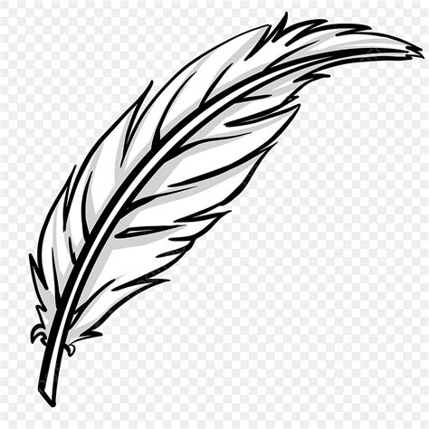 Feather Quill Clipart Transparent Png Hd Quill Black And White Feather
