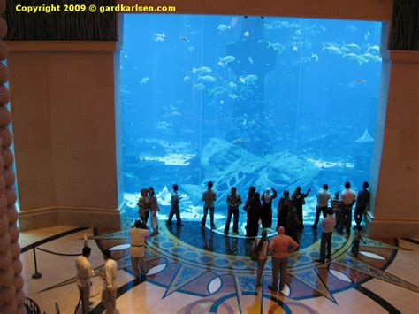 Aquarium At Atlantis Dubai Hotel Dubai Aquarium Dubai Hotel Amazing
