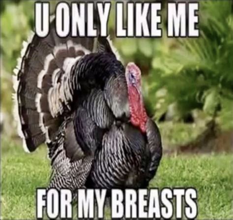 turkey breasts funny faxo