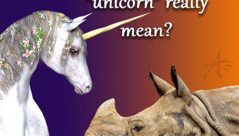 The True Meaning Of The Unicorn Series 3 The Origin Of The Word And How