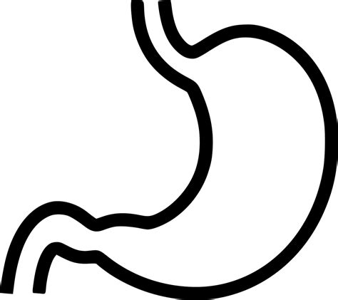 Stomach Clipart Free Cliparts And Png Stomach Clipart Stomach