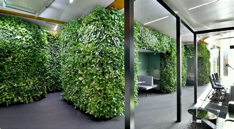 Nextgen Living Walls Natures Green