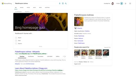 Bing Quiz Today Take The Bing Homepage Quiz Challenge