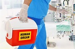 The Surprising History Of The First Organ Transplants