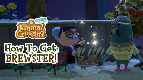 How To Get Brewster In Animal Crossing New Horizons Guide Youtube