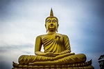 Free photo: Photo of Golden Gautama Buddha - Art, Tourism, Thailand ...