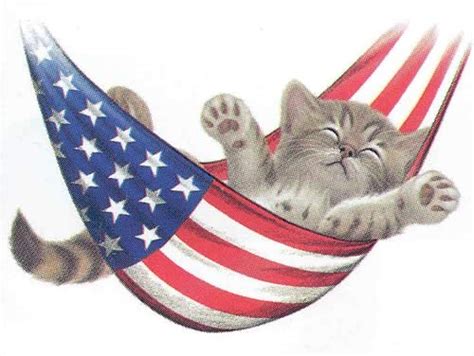 Tips For July 4th Keeping It Happy For Your Furry Friends Healing