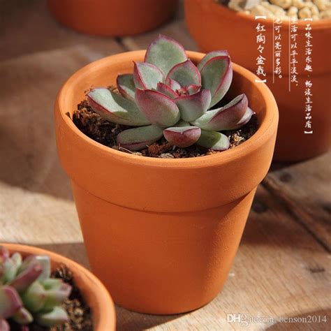A lifetime warranty and free shipping. 2018 Terracotta Clay Flower Pot For Small Plants Nursery Pots Succulents Pots With Holes From ...
