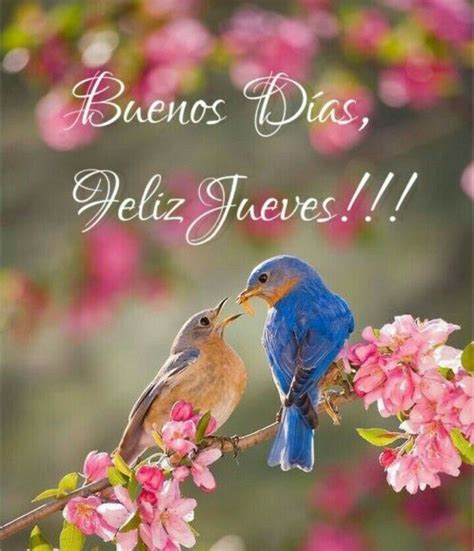 Ver más ideas sobre feliz jueves bendiciones, saludos de buenos dias, sé bueno. Pin de Sanchezconsuelo en Buenos Días | Feliz dia jueves ...