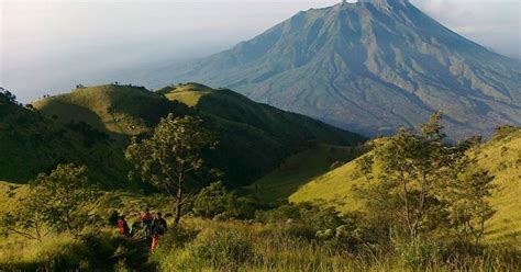 Unesco Tetapkan 3 Kawasan Di Indonesia Sebagai Cagar Biosfer Baru Apa