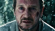 Every Liam Neeson Action-Thriller Ranked Worst To Best