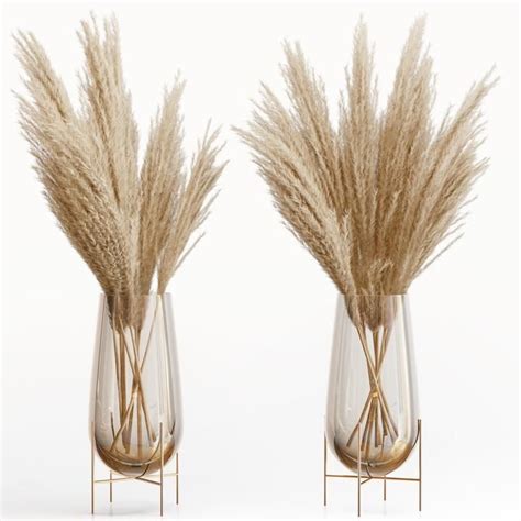 Decoration Phragmites Pampas Grass Large Real Natural Dried Plants