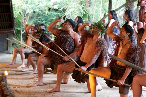 Mitai Maori Village Maori Cultural Experience Rotorua New Zealand Backpacker Deals