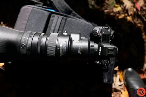 Nikon Z 600mm F4 First Impressions