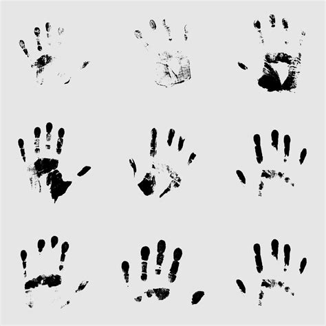 Set Of Black Human Palm Prints On A White Background 22130595 Vector