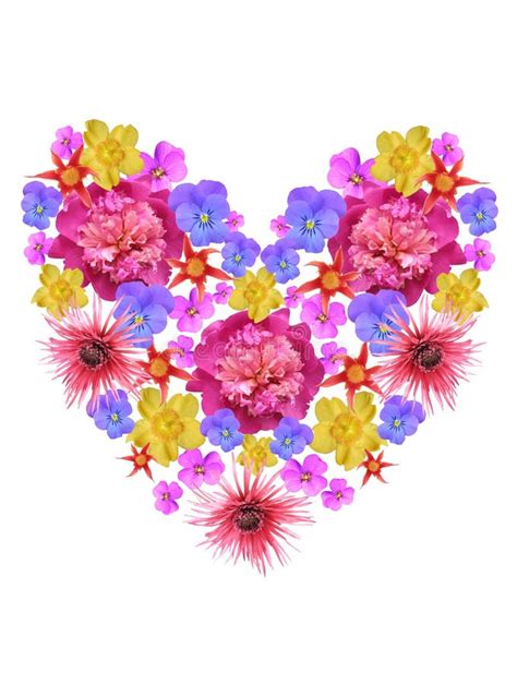 Multi Coloured Hearts Stock Vector Illustration Of Color 1656736