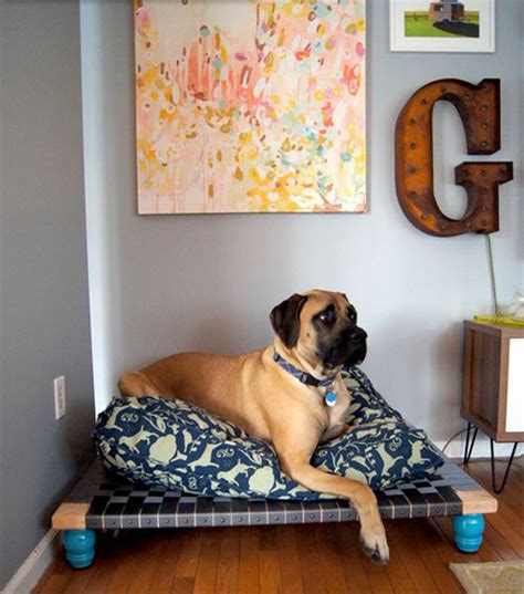 15 Creative Dog Bed Design Ideas Homemydesign