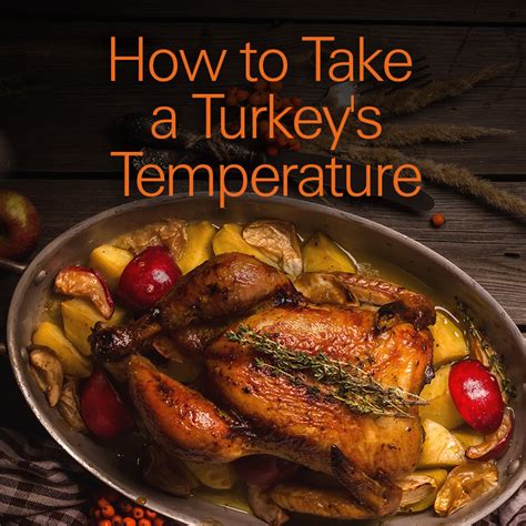 The Total Turkey Guide How To Take A Turkeys Temperature