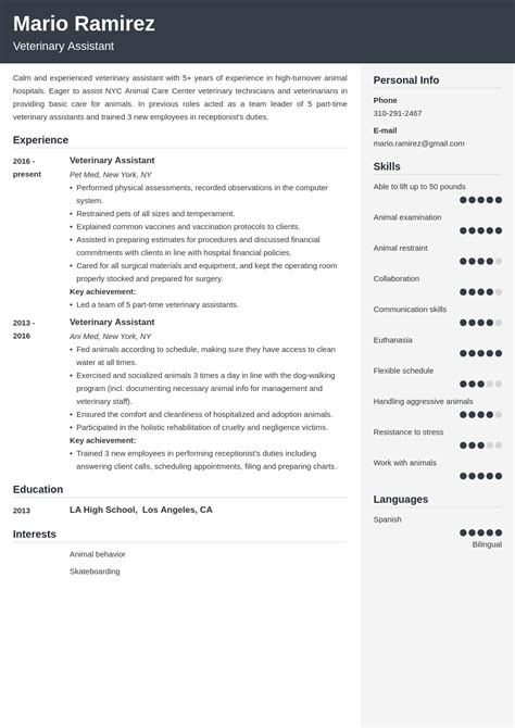 10 Veterinary Curriculum Vitae Examples For Your Application