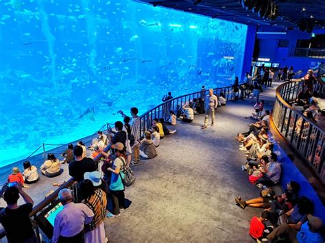 Laquarium Sea Singapore