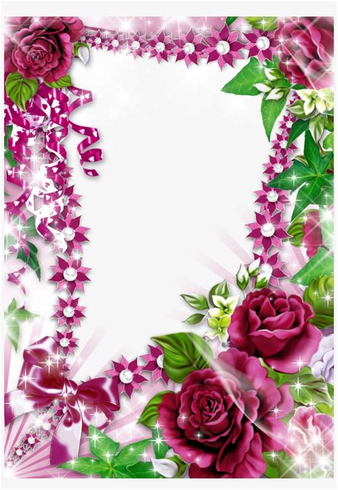 Clip Frame Collage Purple Rose Flower Border Design Transparent Png