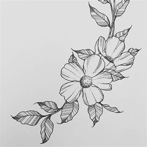 Beautiful Creative Simple Flower Designs For Pencil Drawing Thats